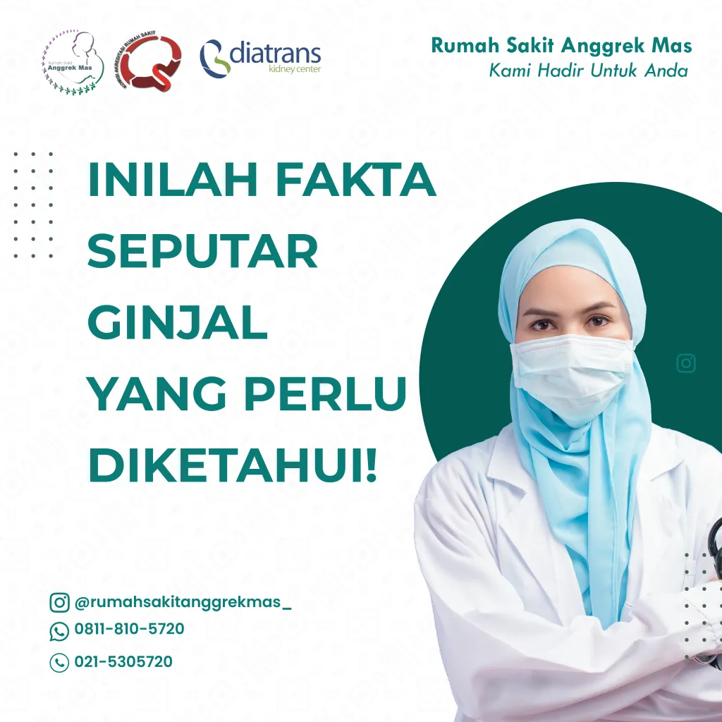 fakta-ginjal-01