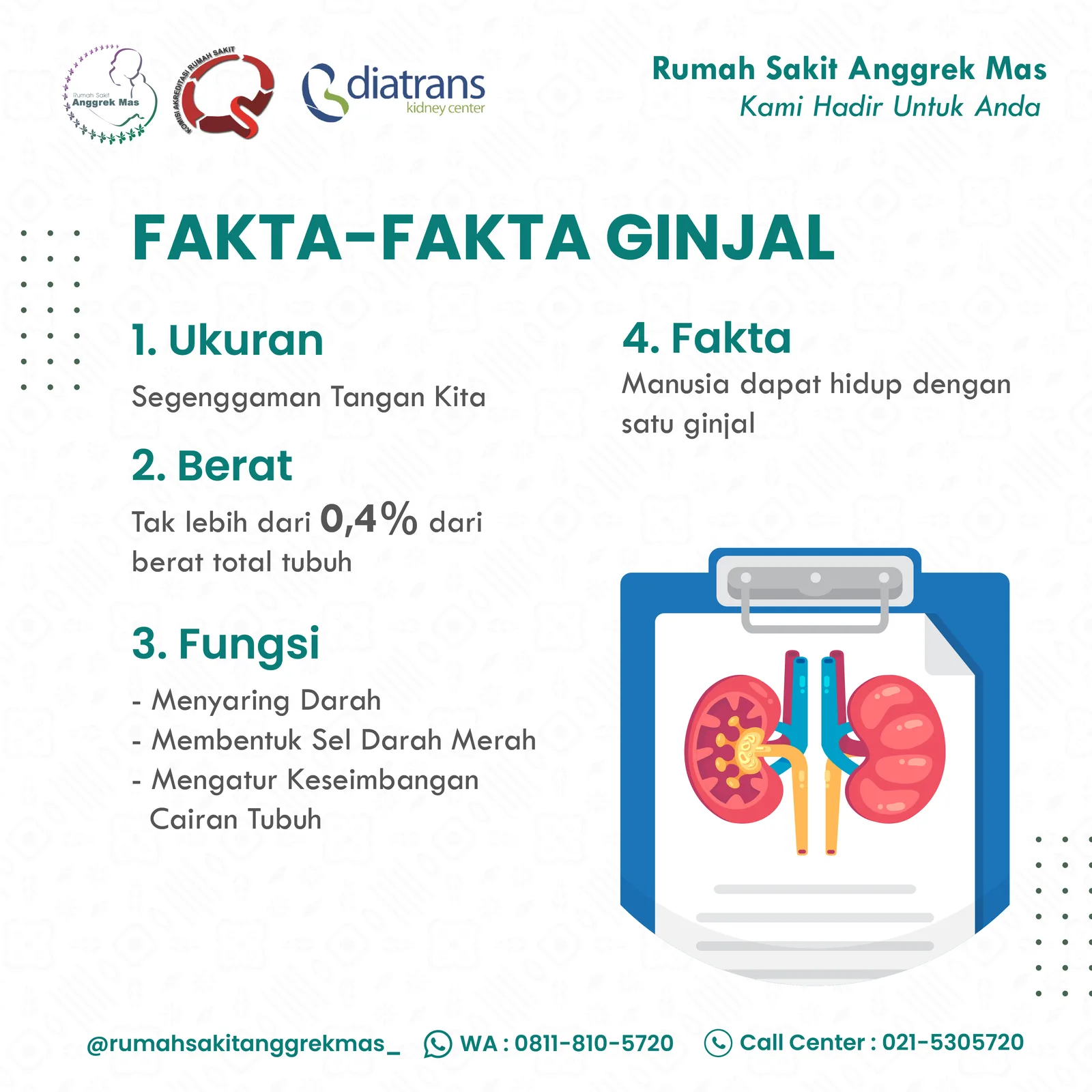 fakta-ginjal-02